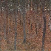 Gustav Klimt Beech Forest I (mk20) oil on canvas